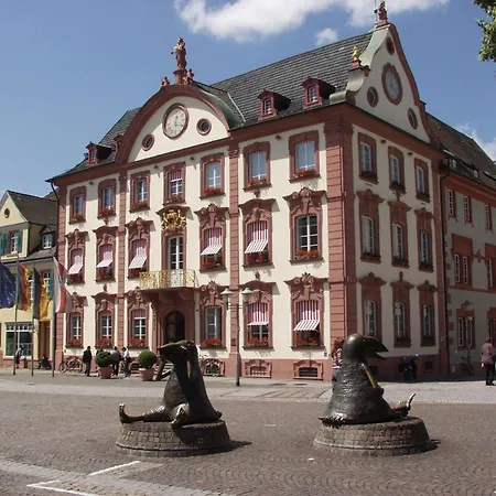 Holiday Inn Express - Offenburg By Ihg-3
